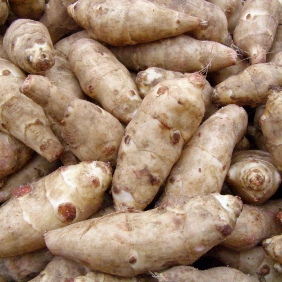 Топинамбур и артишок