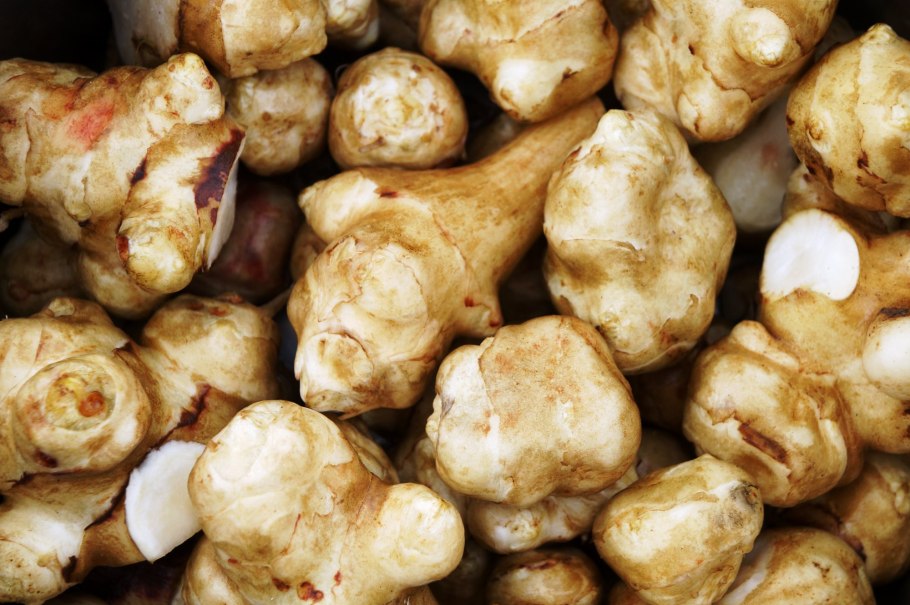 Топинамбур строение