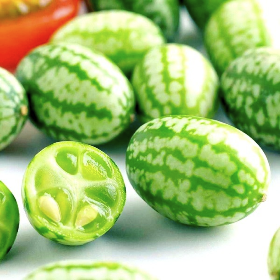 Карликовые плодовые деревья