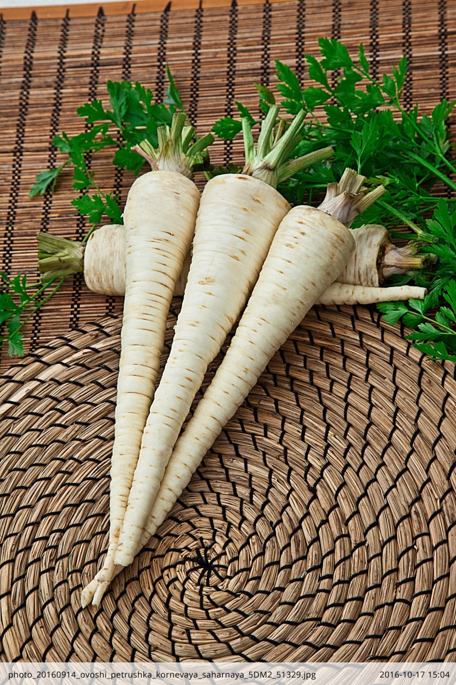 Петрушка корнеплод