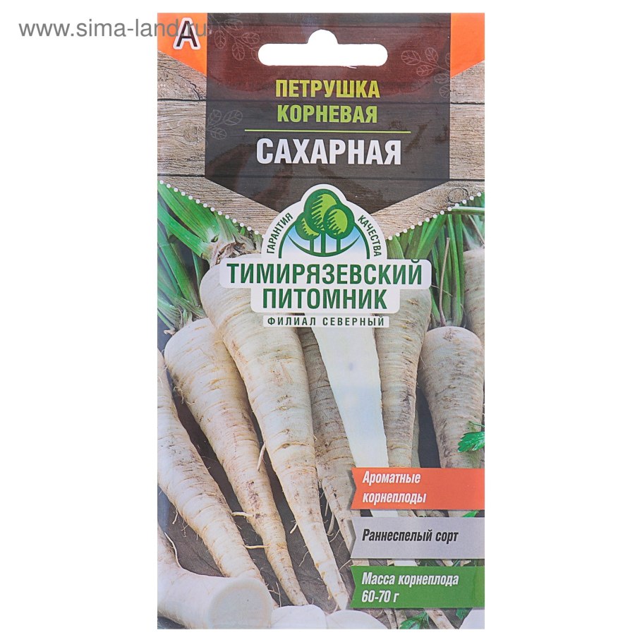 Пастернак посевной корнеплоды