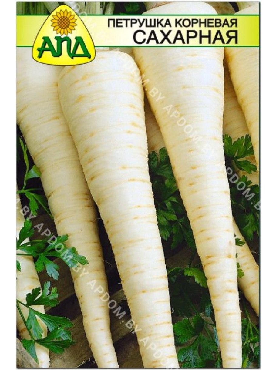 Коренья петрушки сельдерея Пастернака