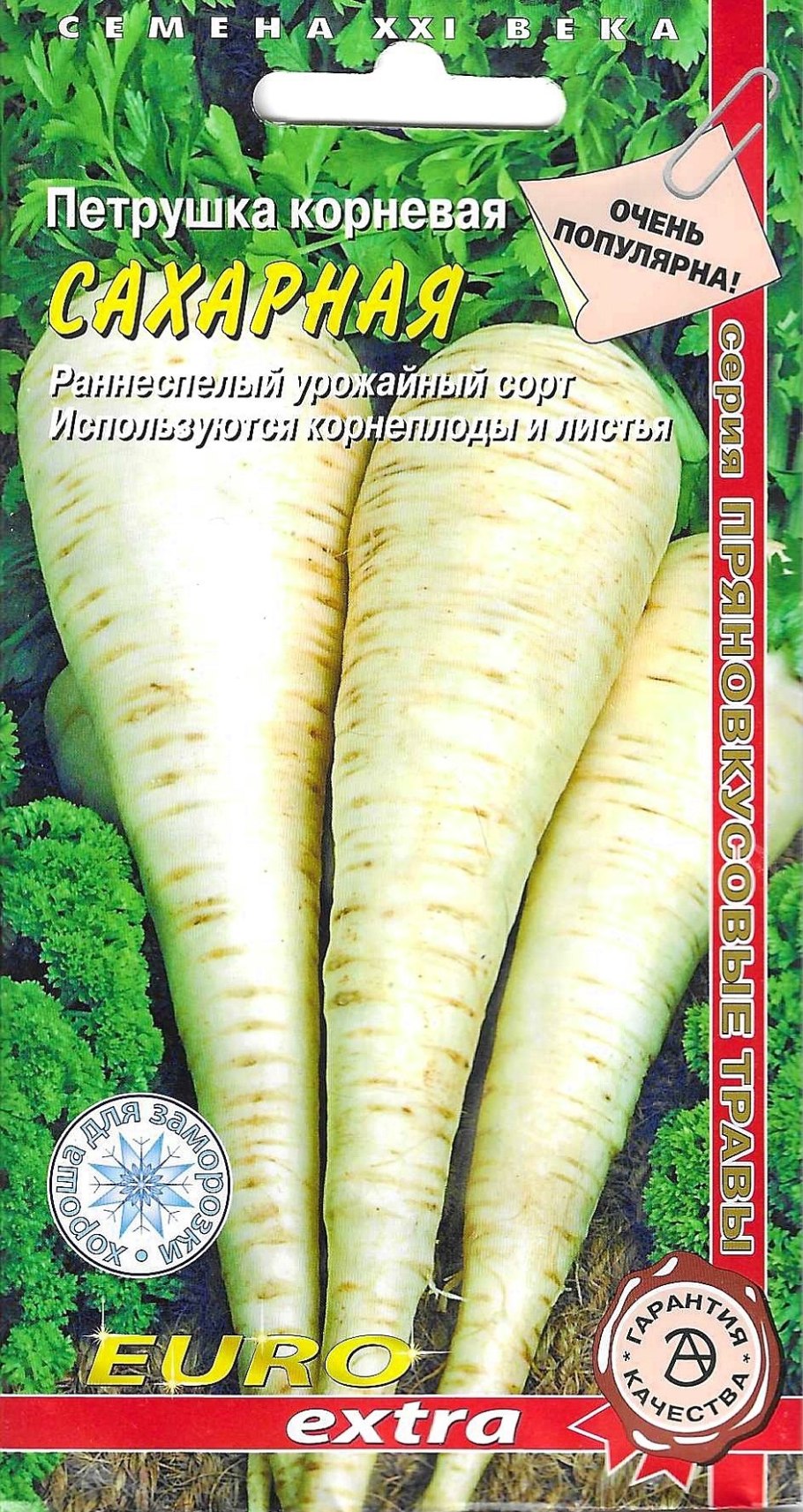 Петрушка корневая Берлинская (СЕДЕК)