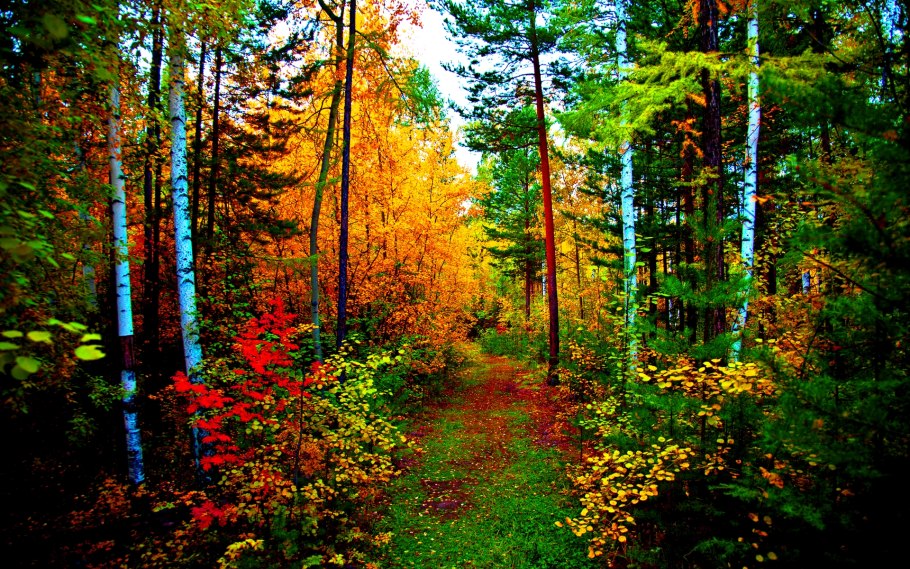 Разноцветная осень в горах