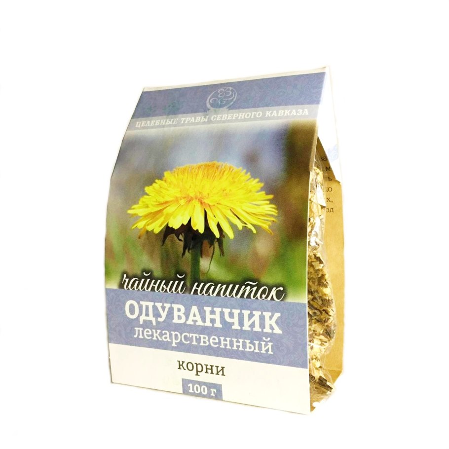 Taraxacum officinale Ботанический рисунок