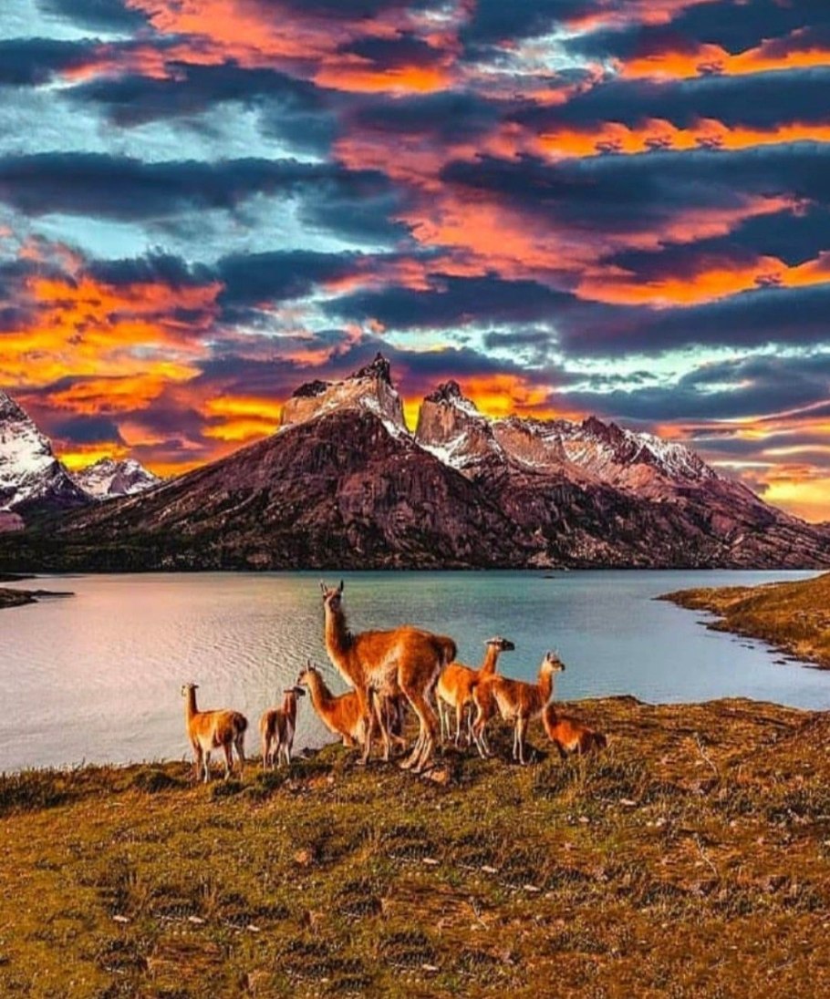 Чили парк Торрес дель Пайне