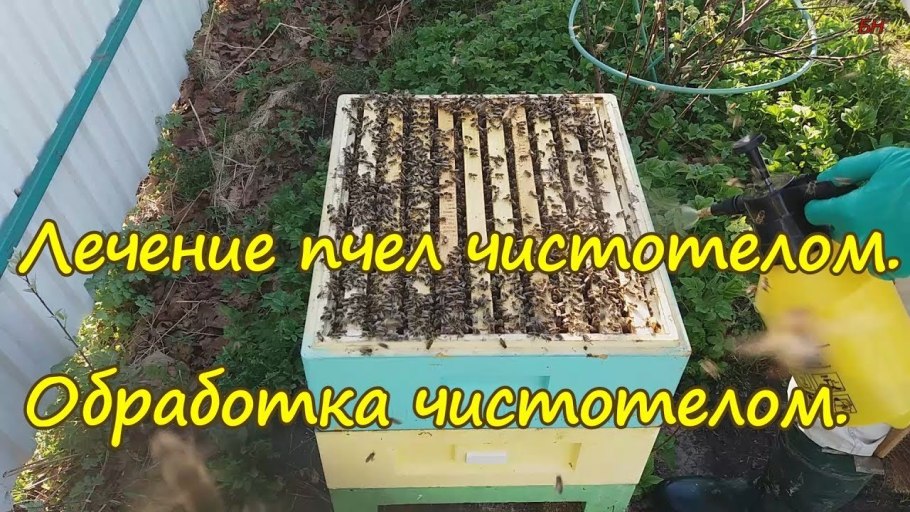 Пчелиная защита крем для тела