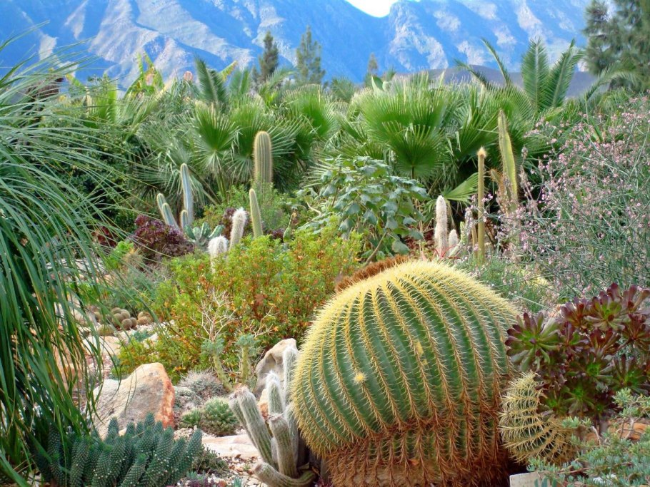 Ботанический сад Кирстенбош