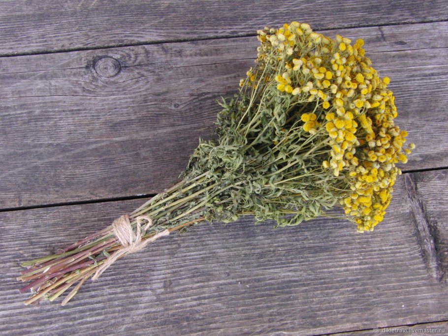 Пижма Хараджана