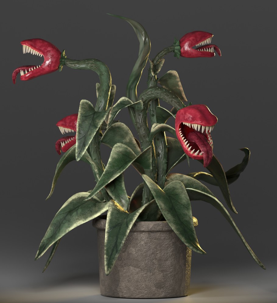 Цефалотус растение хищник