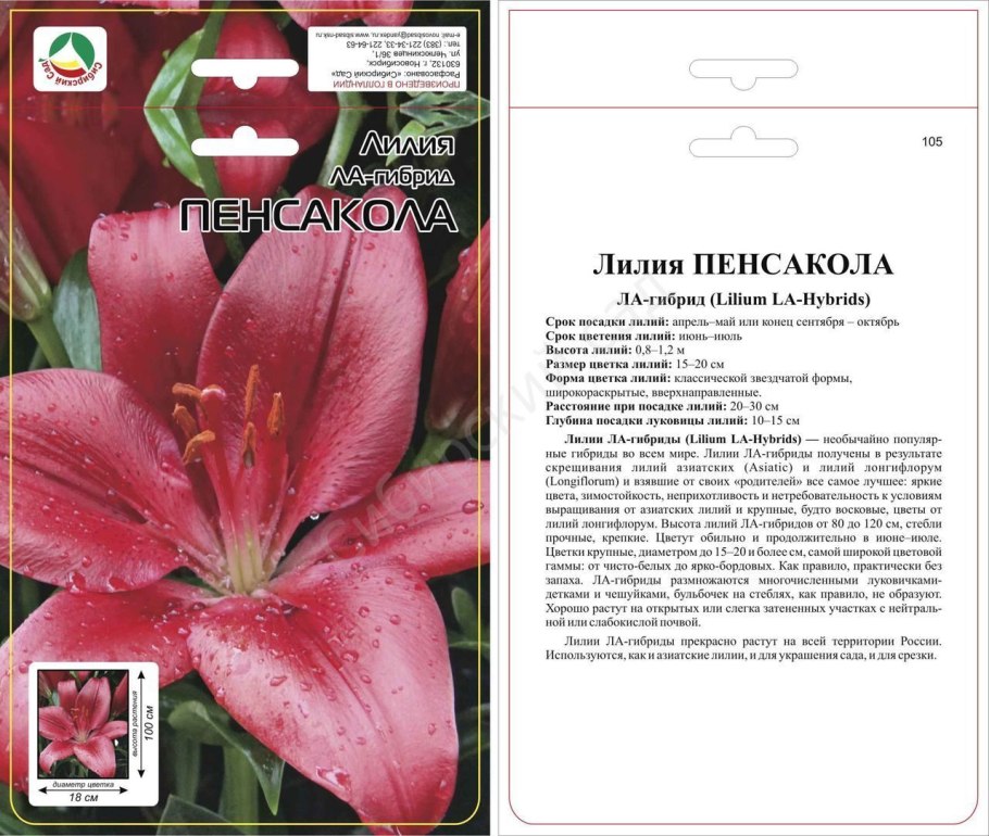 Лилия ла гибрид фанжио