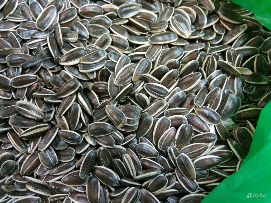 Семечки Калибр 38+