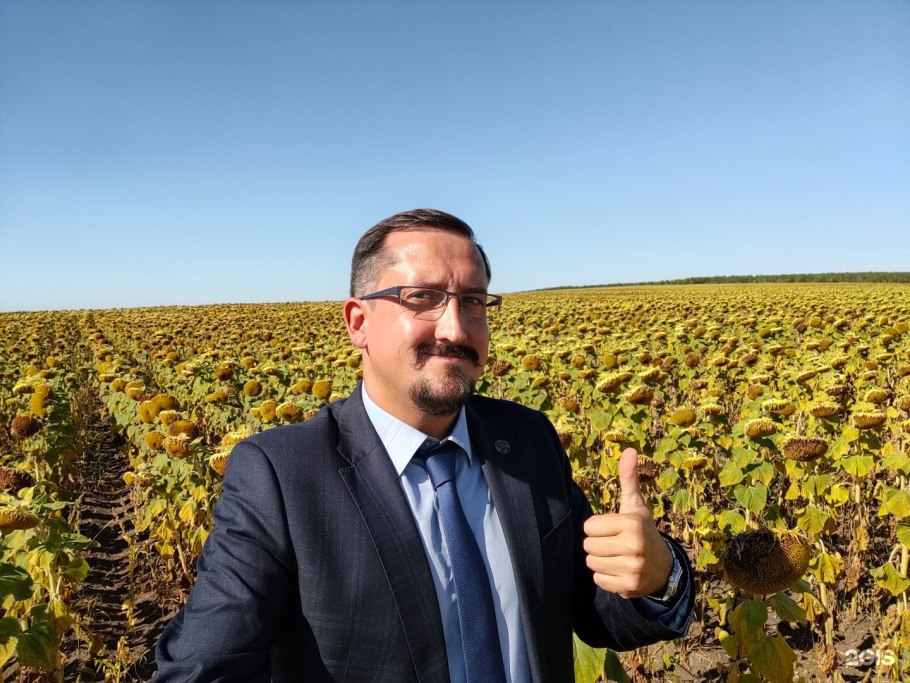 Гибрид подсолнечника пр62ле122