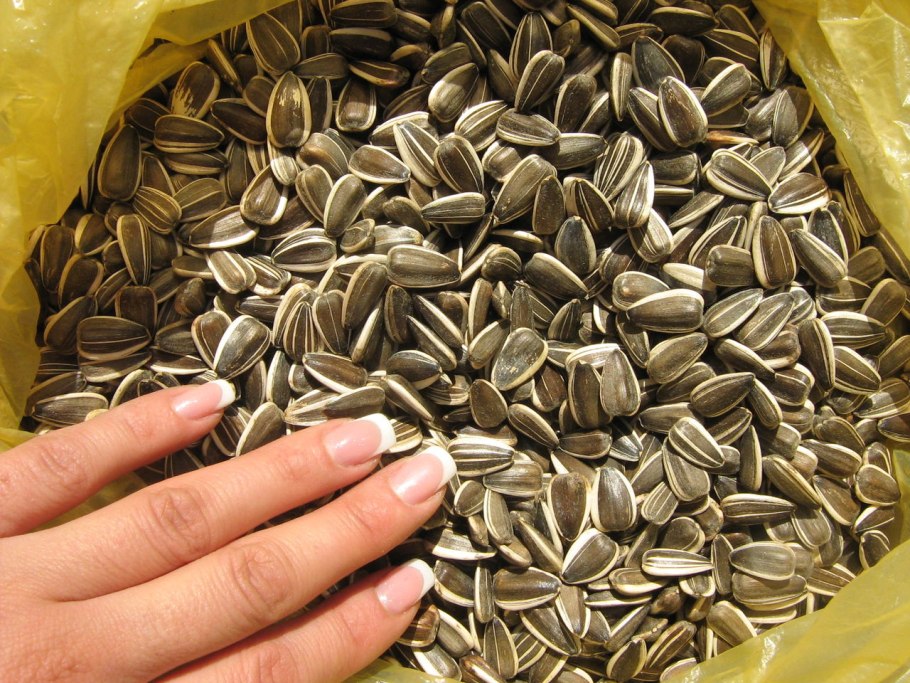 ЛГ 5485 гибрид подсолнечника