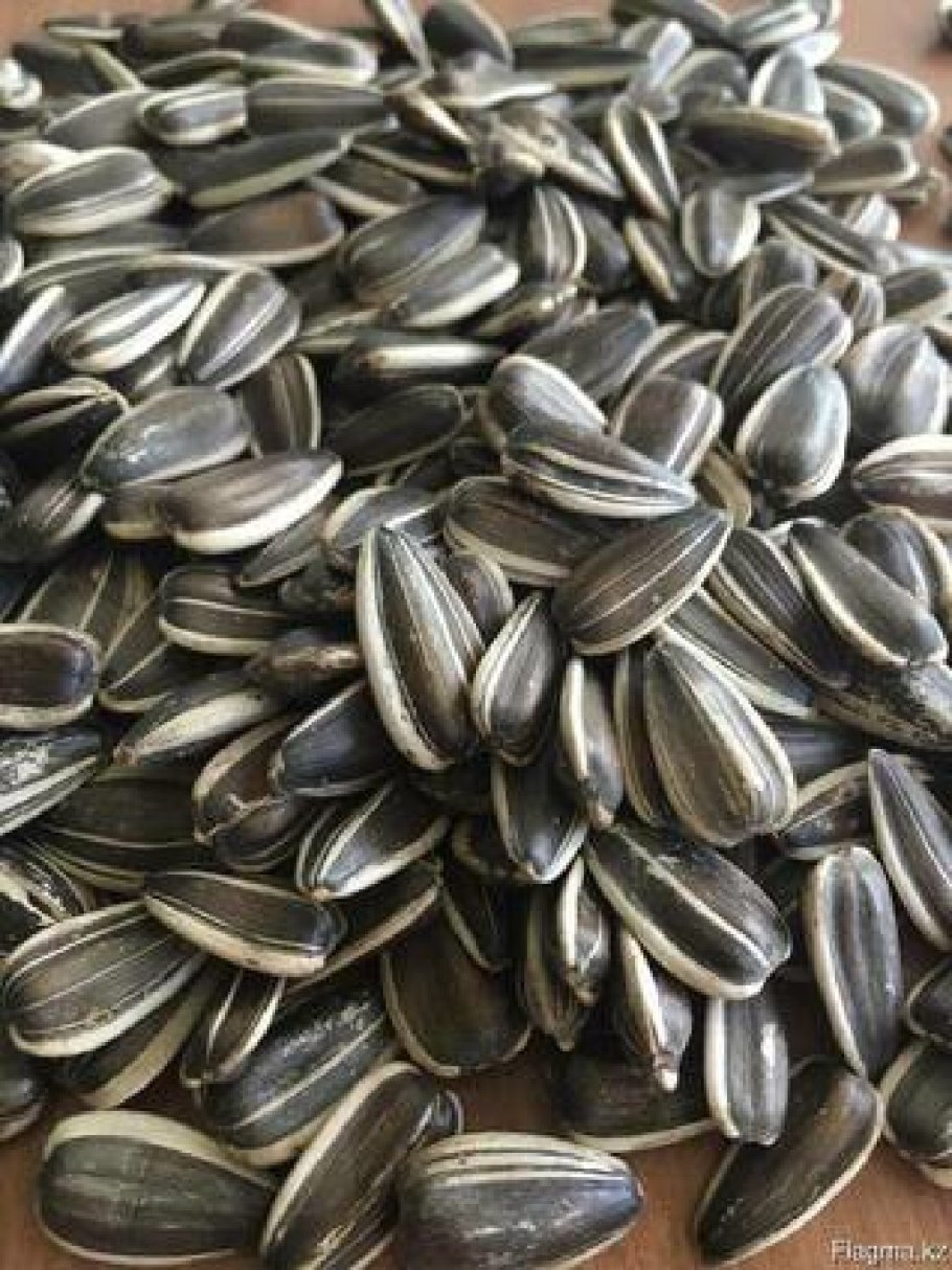 Семочка Ягуар купить