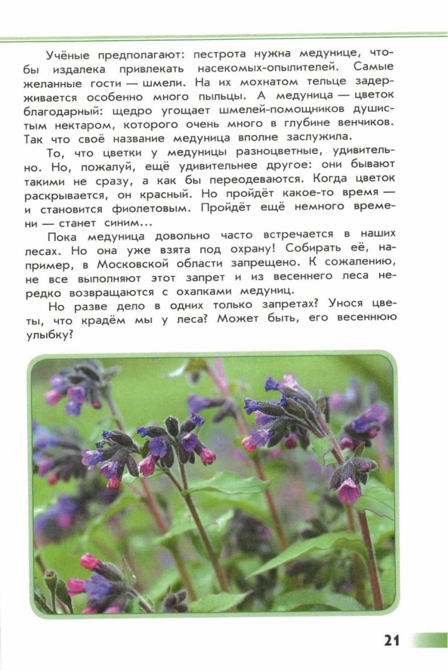 Книга зеленые страницы Медуница