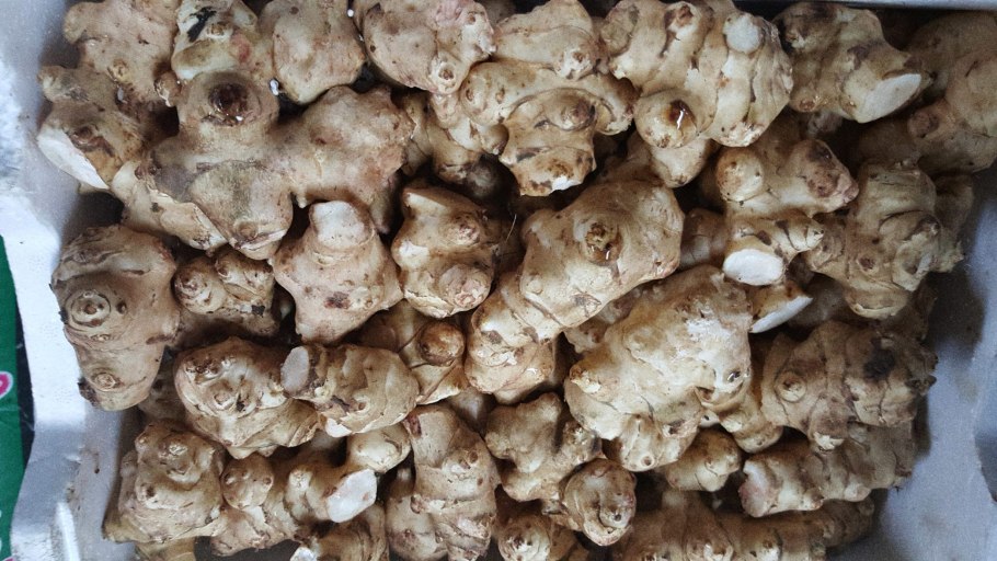 Топинамбур купить клубни для посадки