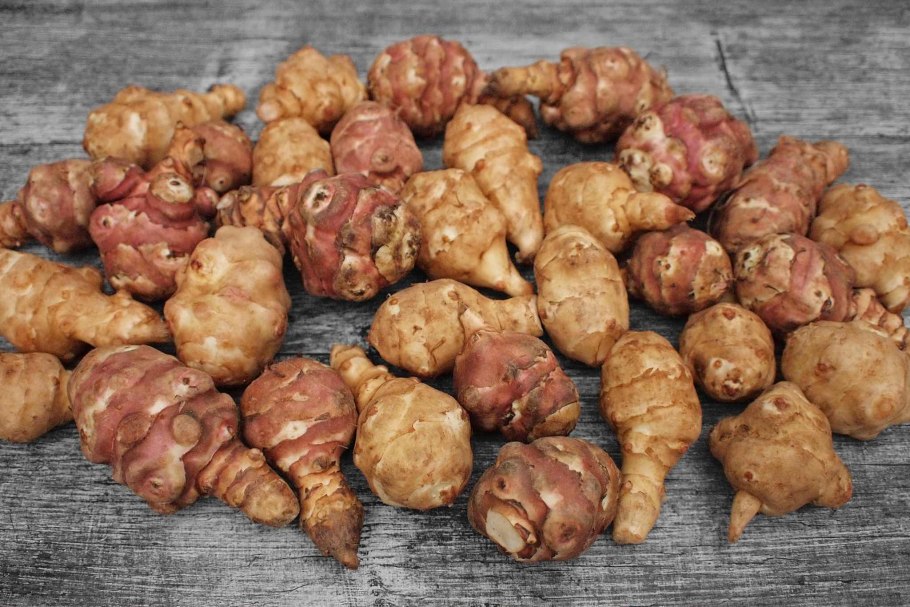 Топинамбур фиолетовый