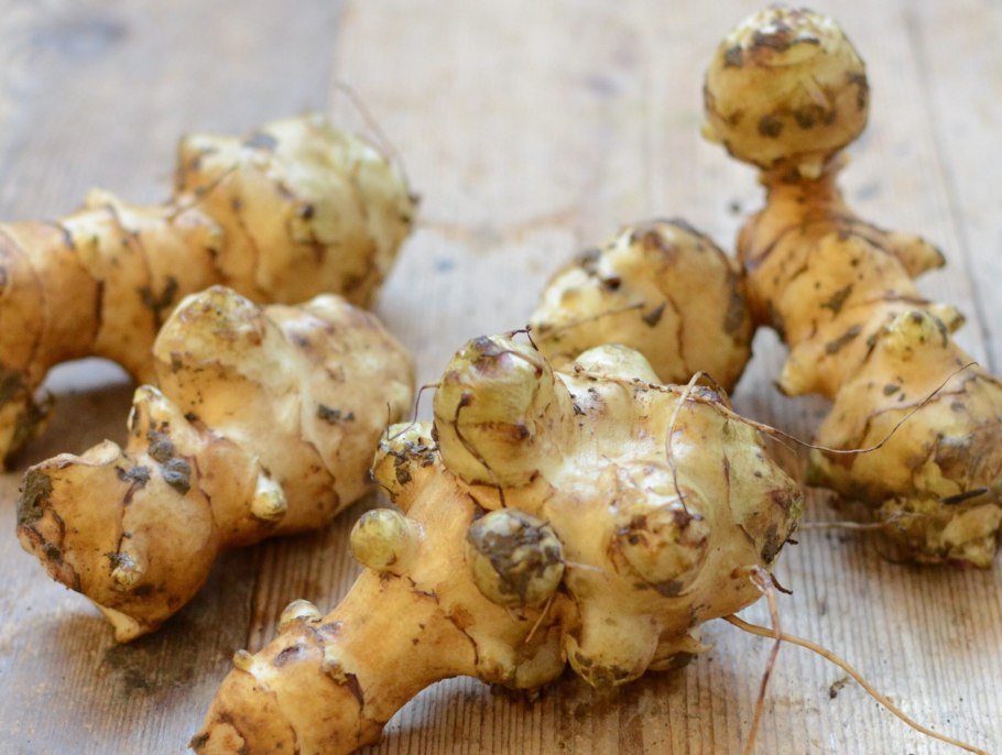 Дикая картошка топинамбур