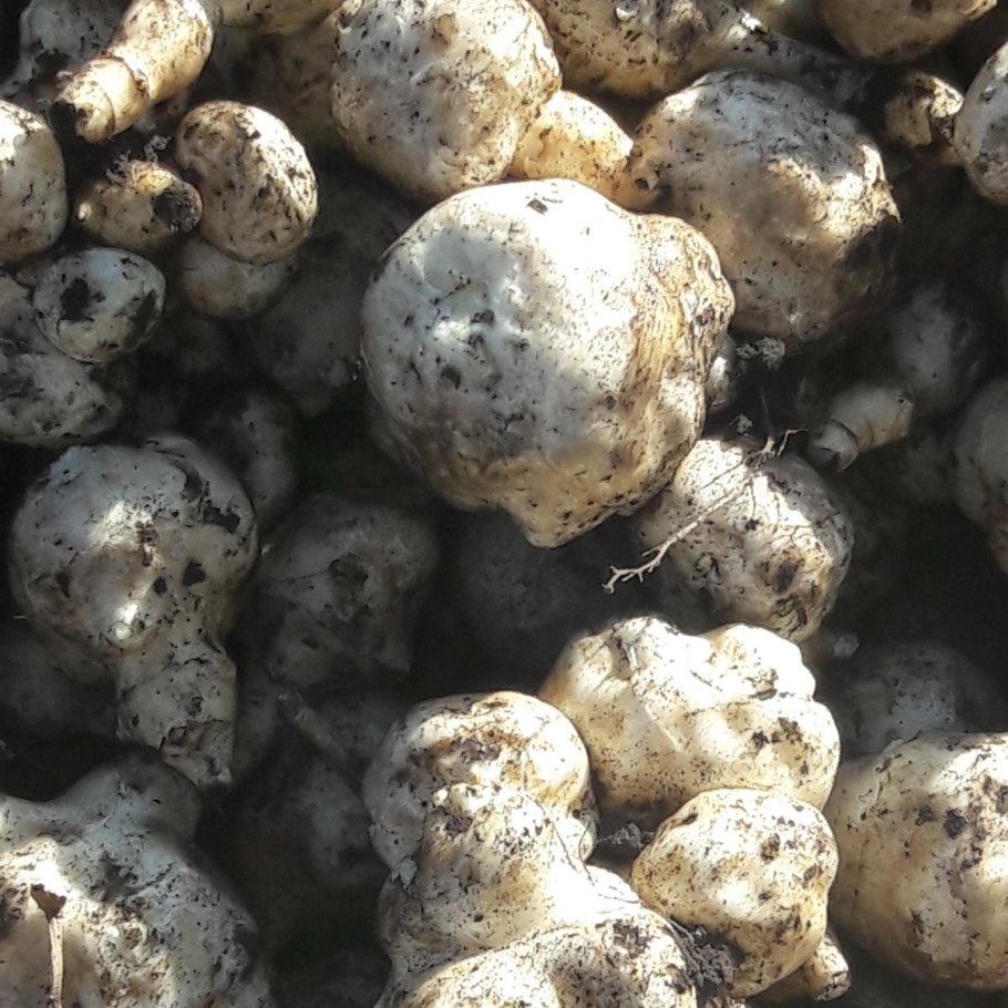 Китайские шарики с мясом как сделать