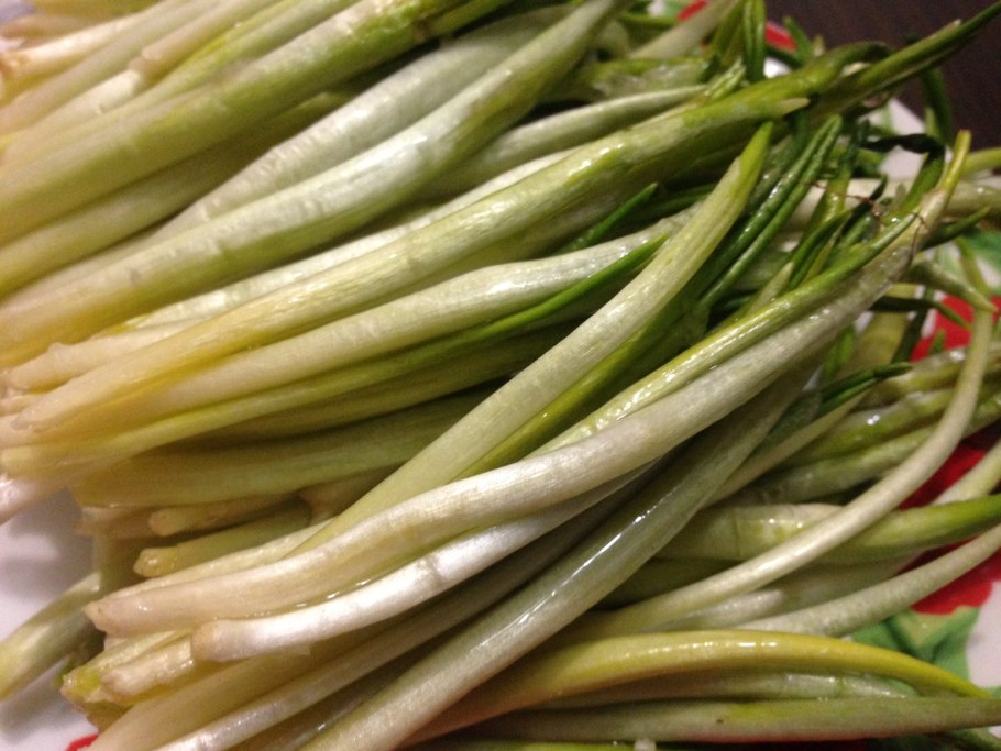 Лук победный черемша колба