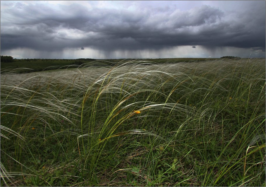 Буртинская степь Оренбургской области