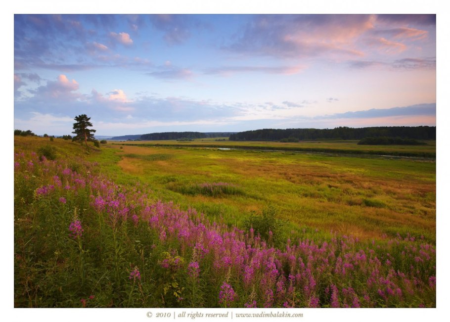 Урочище Иваново поле