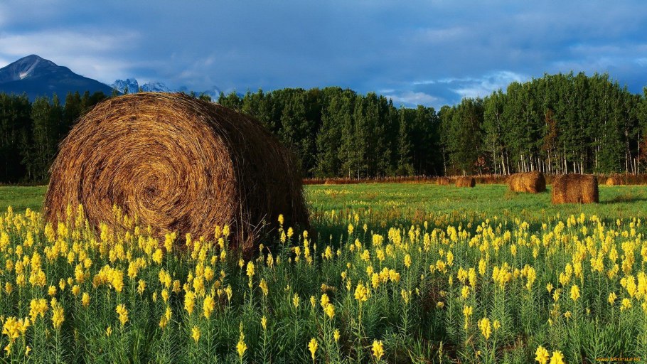 Хомутовская степь ДНР