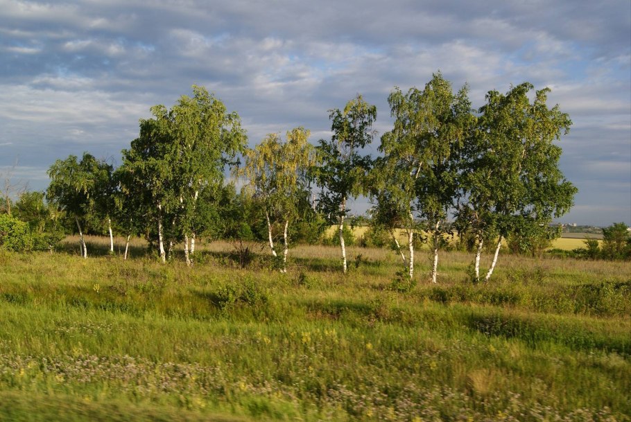 Горы Карпат