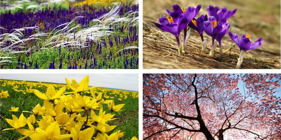 Долгоруковская яйла