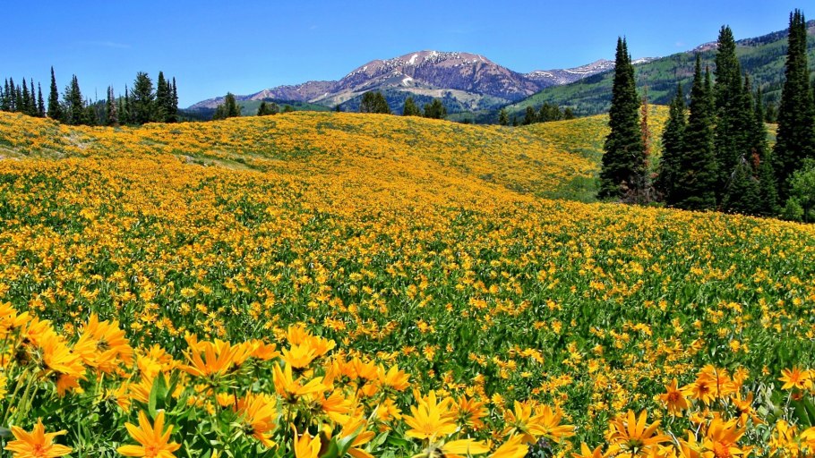 Украина национальный парк и заповедник