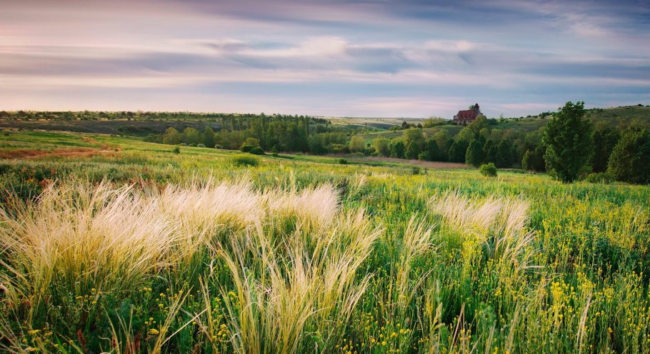 Еланецкая степь природный заповедник