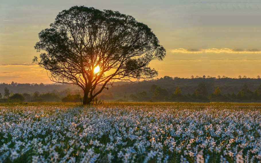 Красивая природа Украины