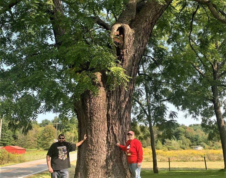 Птушкин секвойи