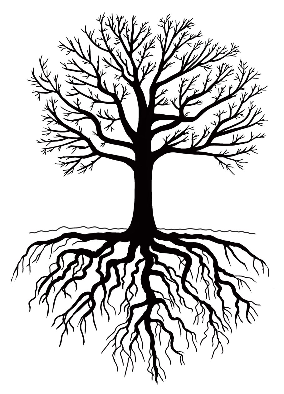 Цветок похожий на каштан