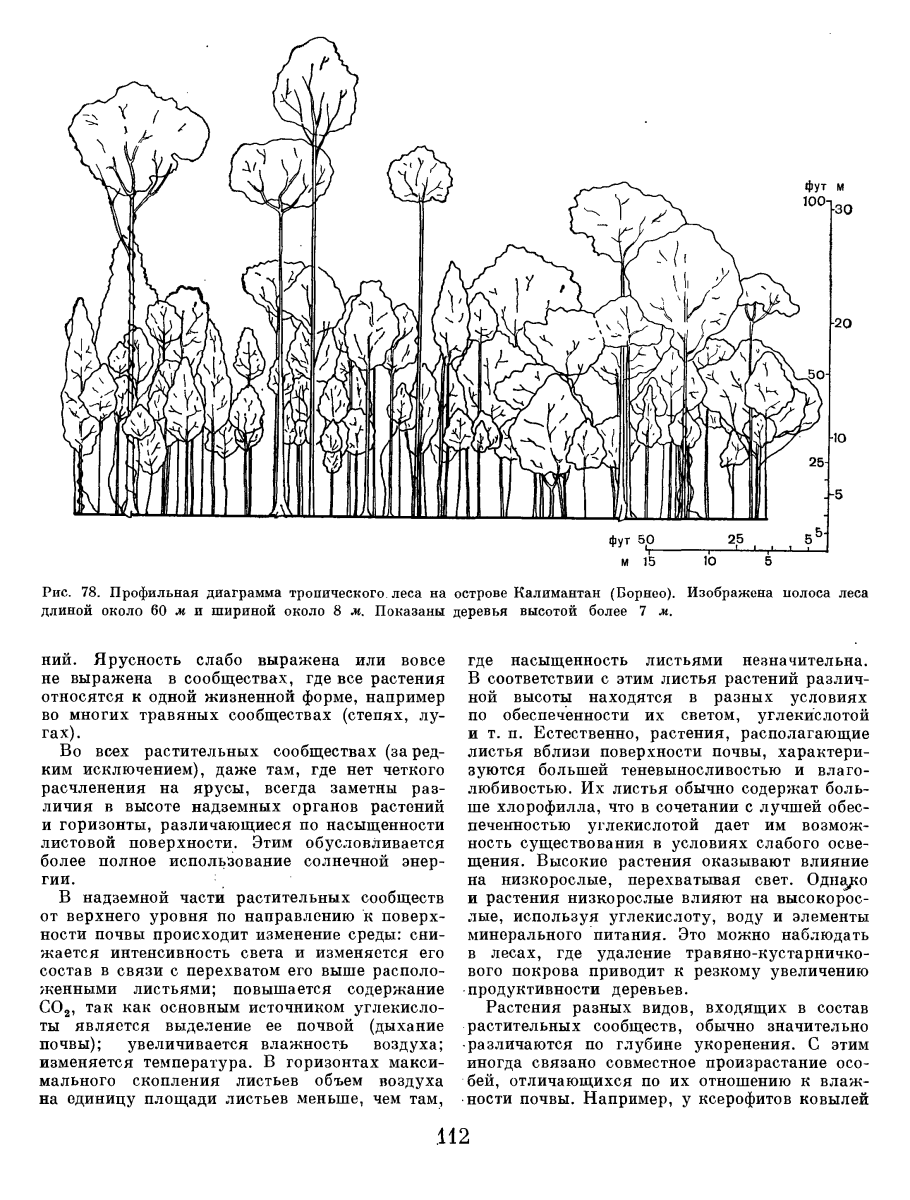 Условия для произрастания деревьев таблица