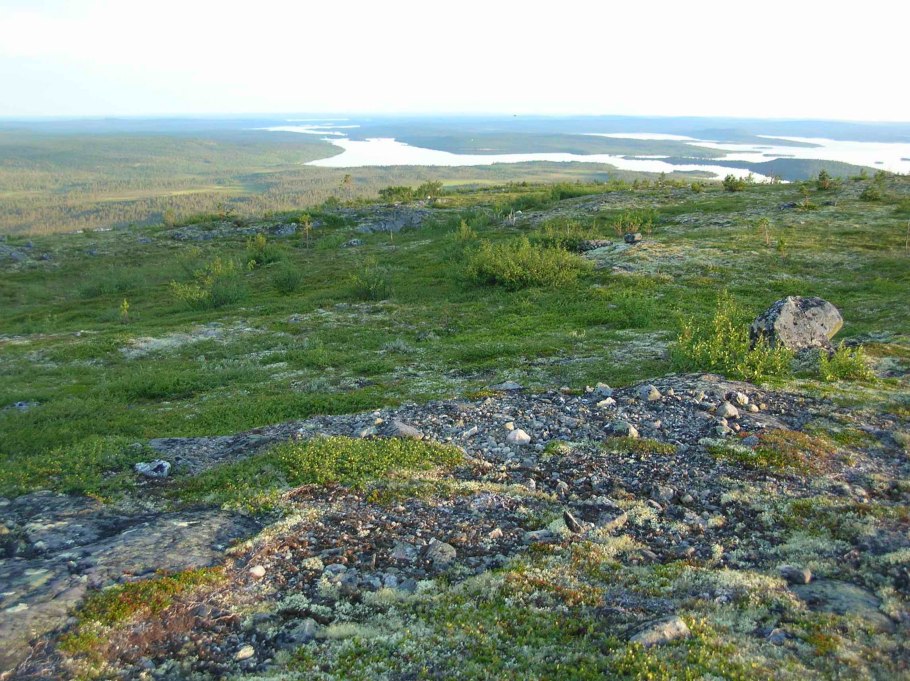 Лапландский заповедник Флора