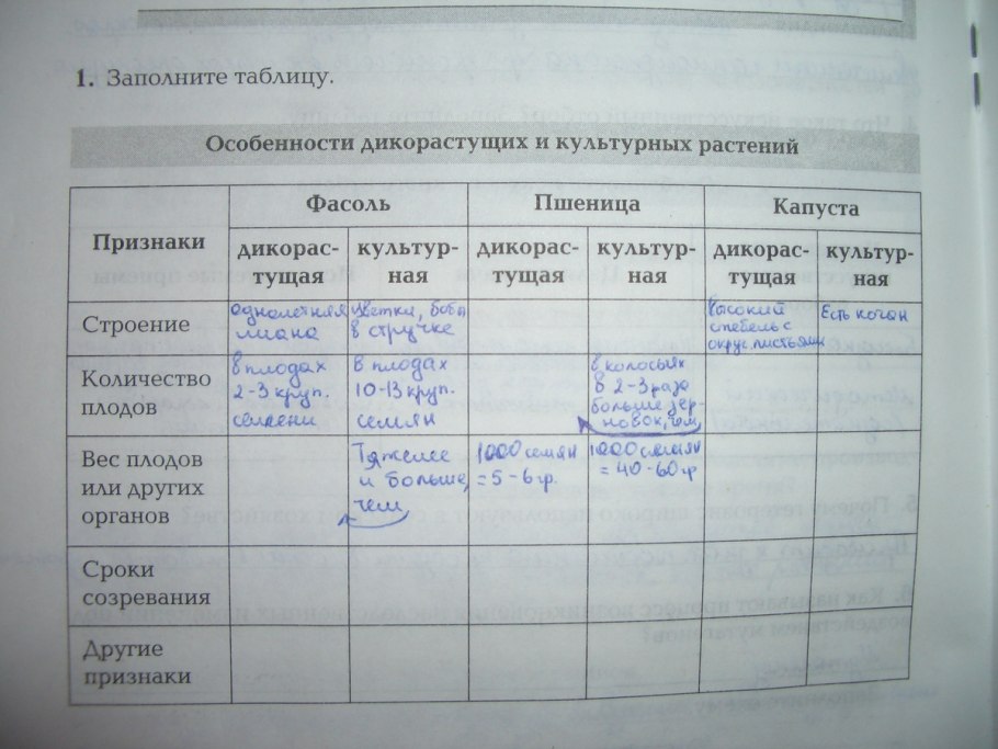 Таблица по культурным растениям