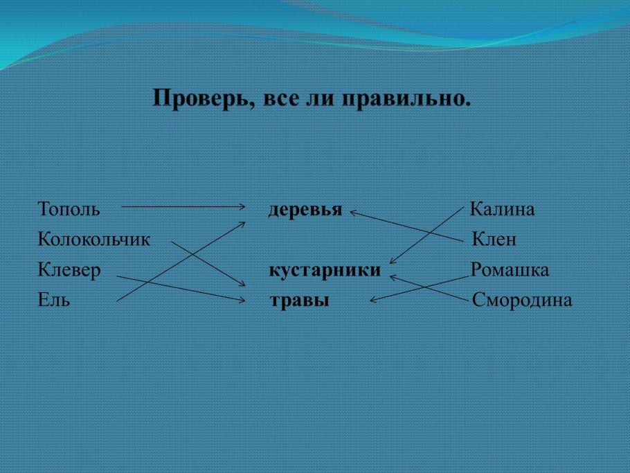 Дикорастущие лекарственные растения