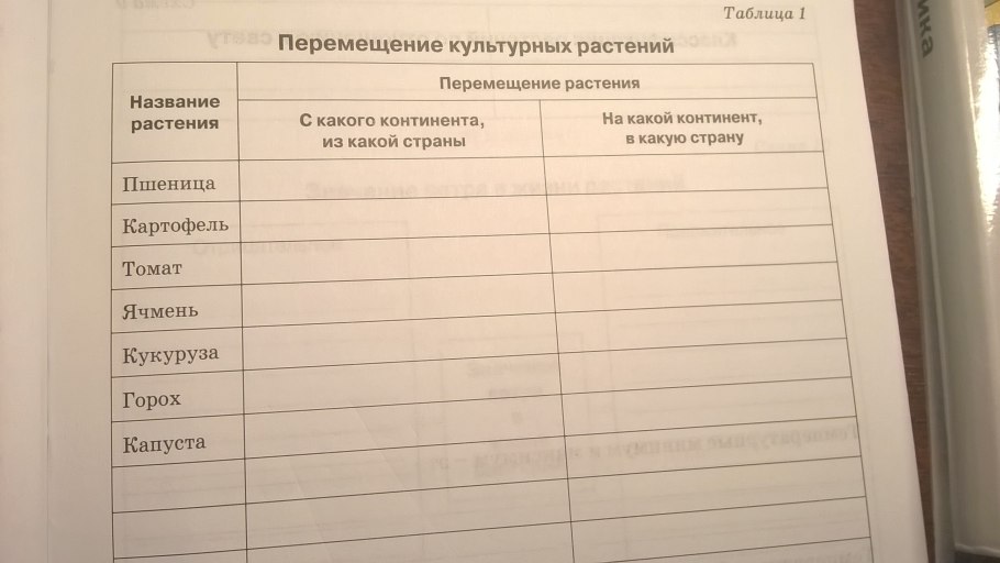 Дикорастущие и культурные растения раскраска