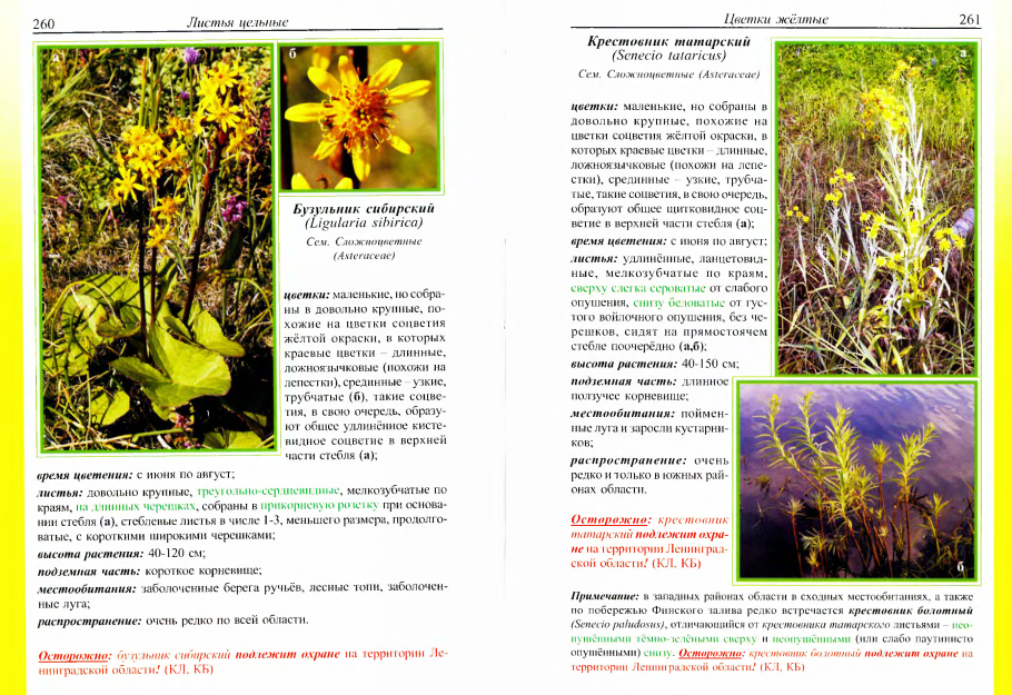 Дикорастущие и культурные растения задания
