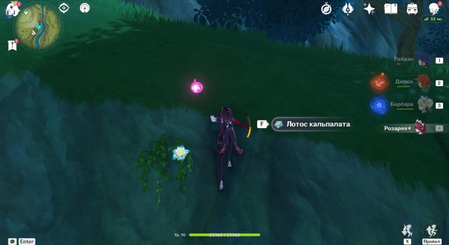 Лотос орехоносный Каспийский