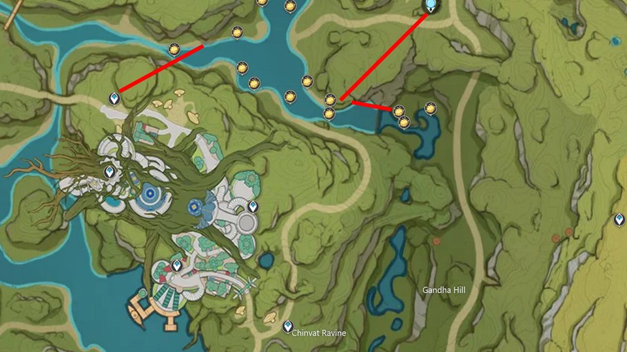 Лотос орехоносный БАД