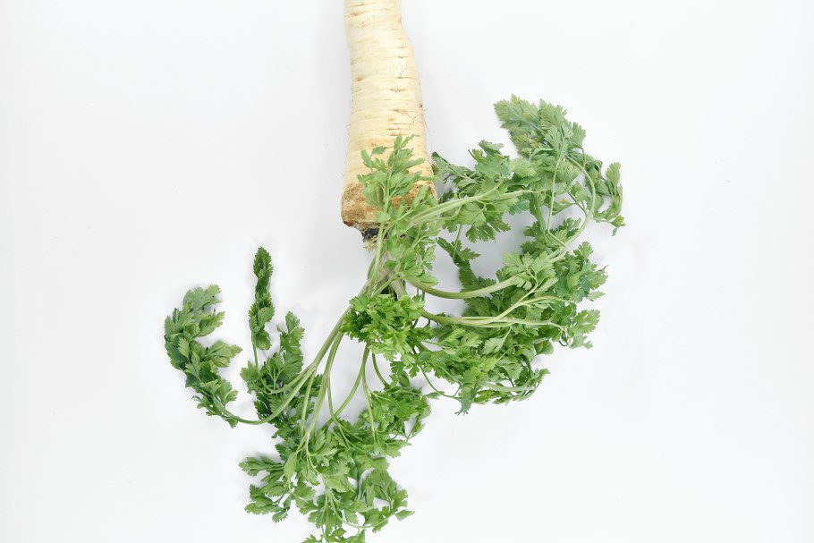 Молдаванская петрушка