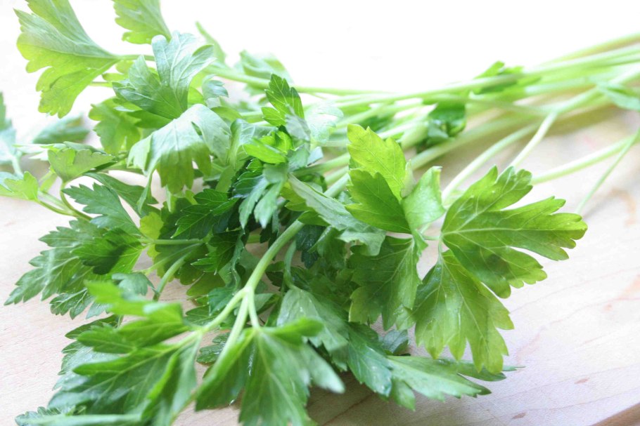 ИСМАЛОК етиштириш