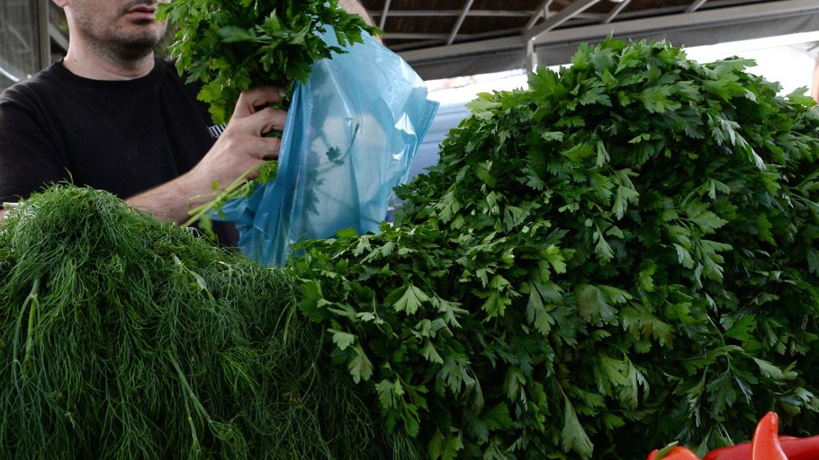 Петрушка курчавая запрет