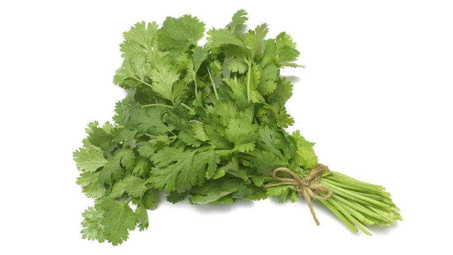 Зелень петрушки фри