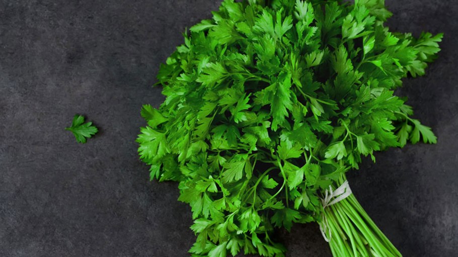 Петрушка Бордовикская