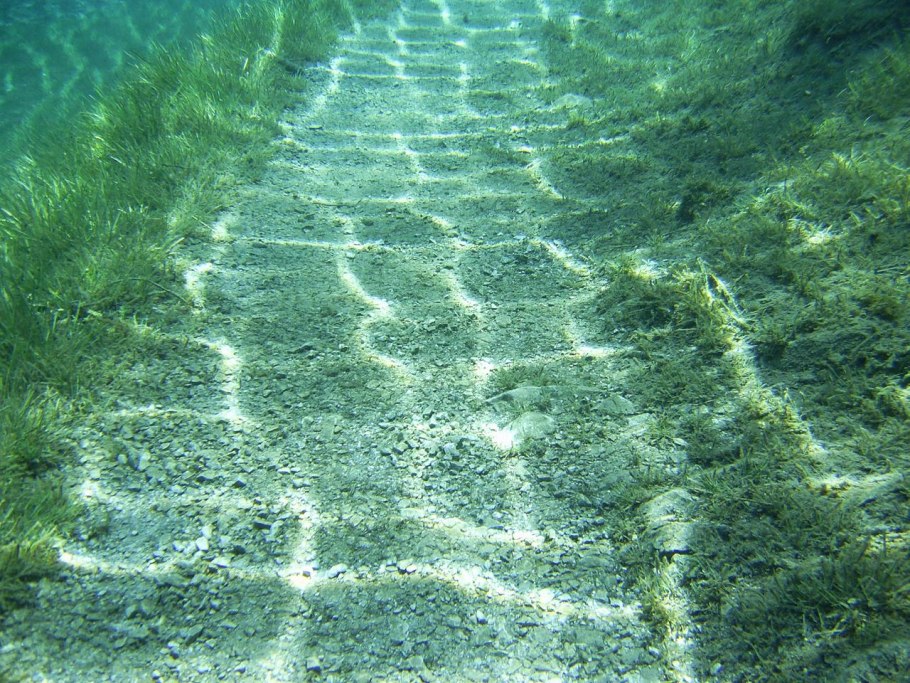 Filamentous Marine algae