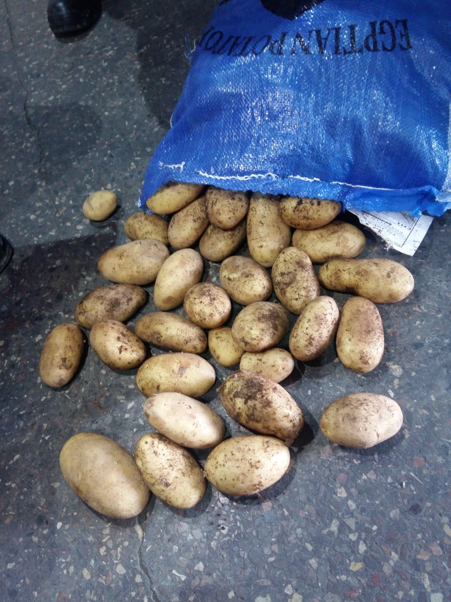 Спунта сорт картофеля